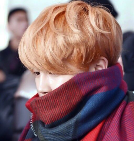 2026                                                 2016