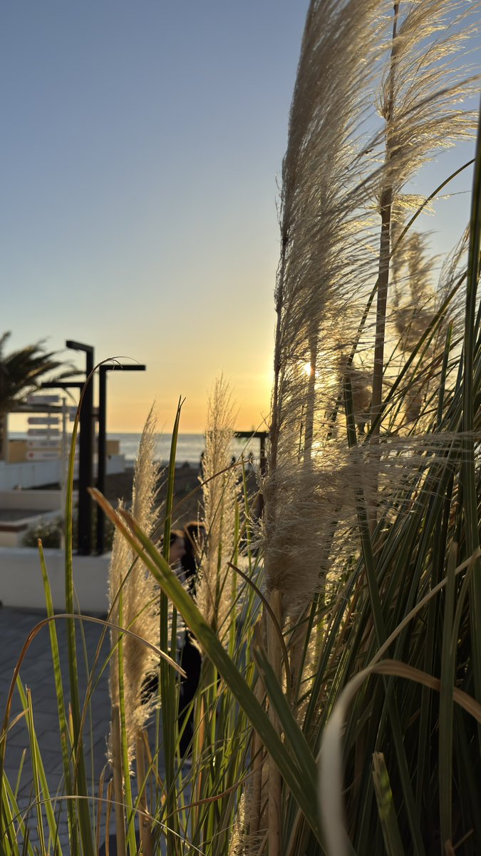 Следуй за сиреневым кроликом tweet media