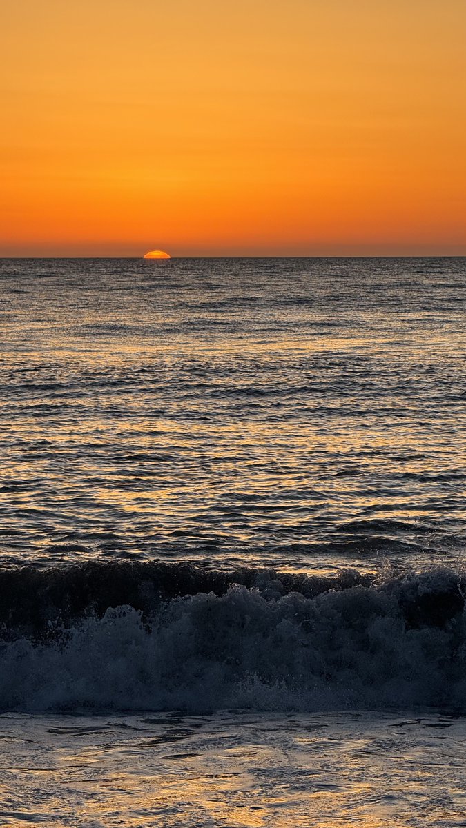 Следуй за сиреневым кроликом tweet media