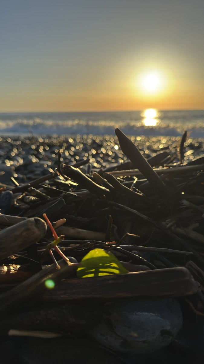 Следуй за сиреневым кроликом tweet media