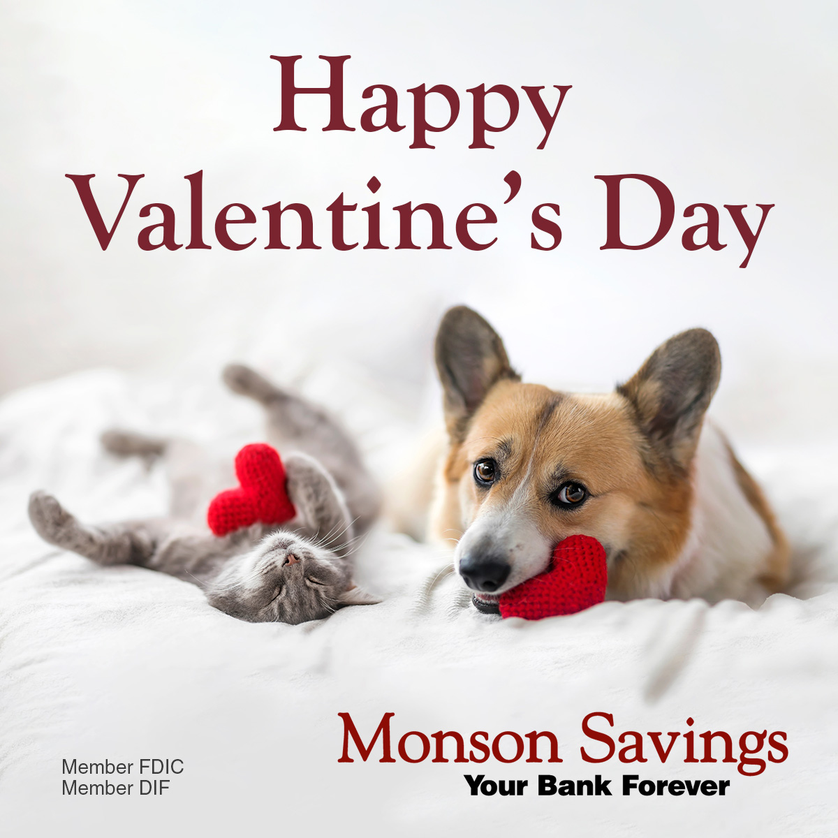 Happy Valentine's Day! This special day can serve as a reminder to show extra love to those around you. All of us at Monson Savings Bank would like to share the love with our customers, employees, and communities! 💖