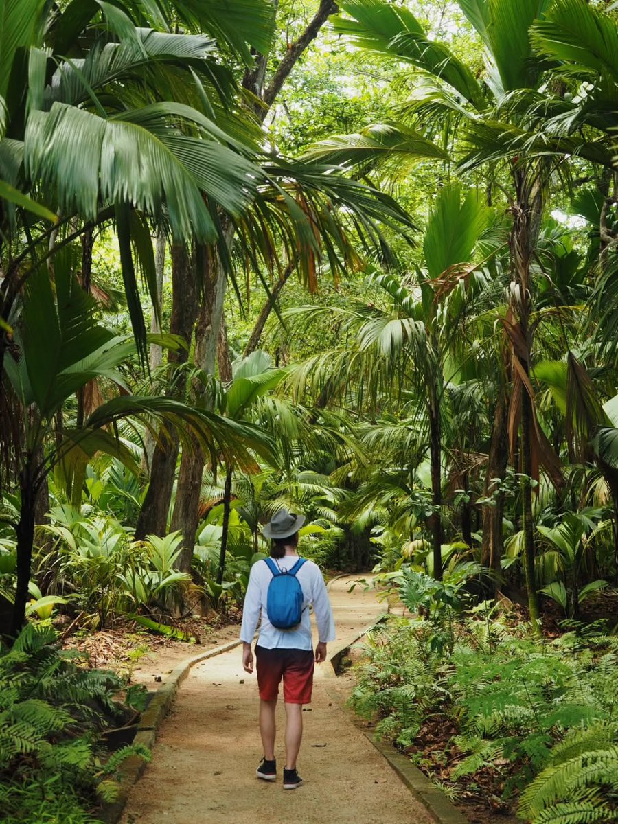 visitseychelles's tweet photo. One destination. Many islands 🚤
From Mahé to Praslin to La Digue, each Seychelles island has its own rhythm.
Which would you explore first?

Photos courtesy of matteoparisi(.)sc, cherubino12 &amp; annekirketeig on Instagram

#Seychelles https://t.co/oWjess32mm