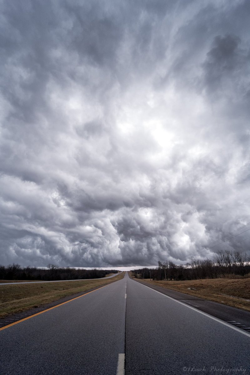 Josh Leach tweet media