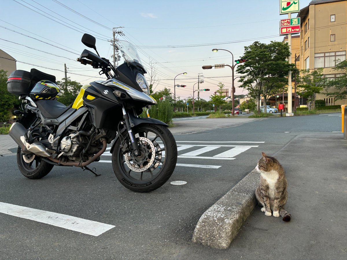 バイク好きが撮った猫の画像を無言で貼る見た人もやってねお願い𓃠𓈒