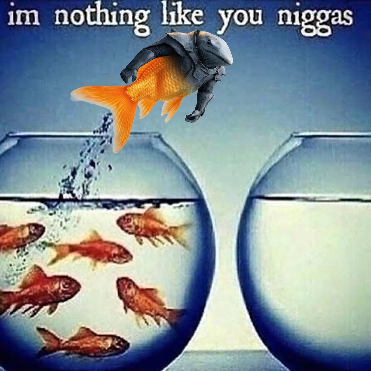 remus🦞(⚫️, ⬜️) tweet media