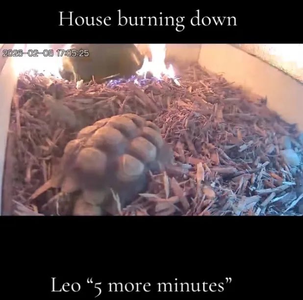 sugashane (@sugashane_dip) on Twitter photo 