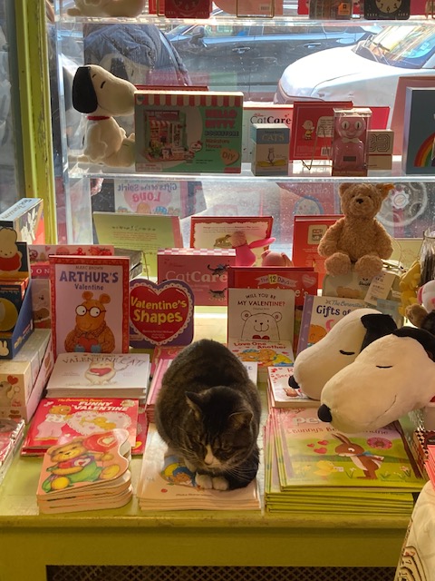 Pam's Pictorama tweet media