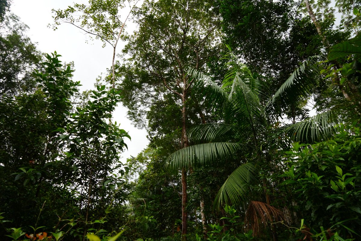 Naïma Moutchou tweet media