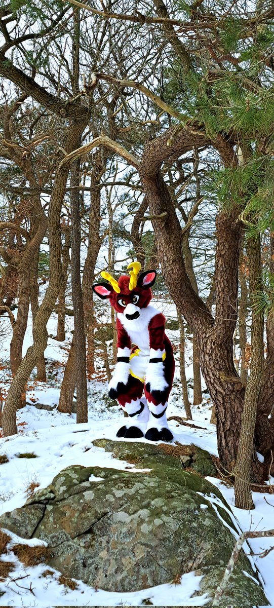 Moss🦌✨️ tweet media