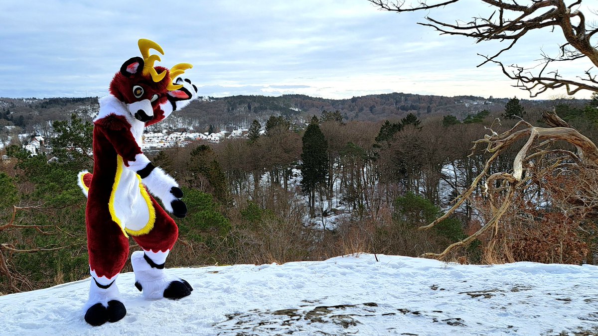 Moss🦌✨️ tweet media