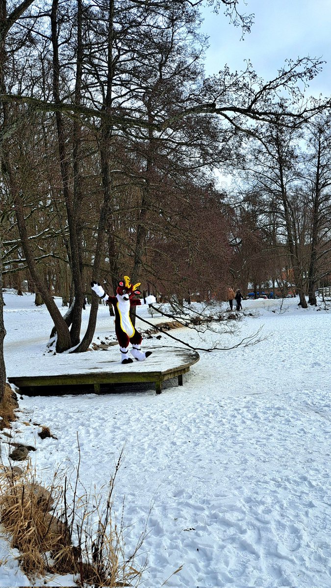 Moss🦌✨️ tweet media