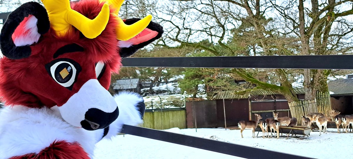 Moss🦌✨️ tweet media