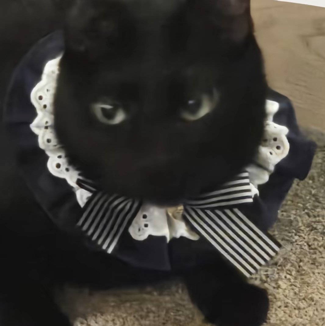 like father                                    like son