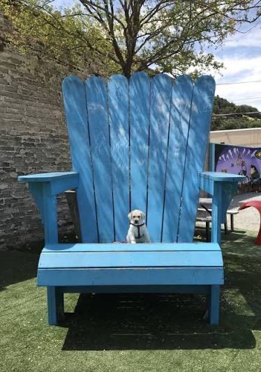 Peyton Stearns tweet media