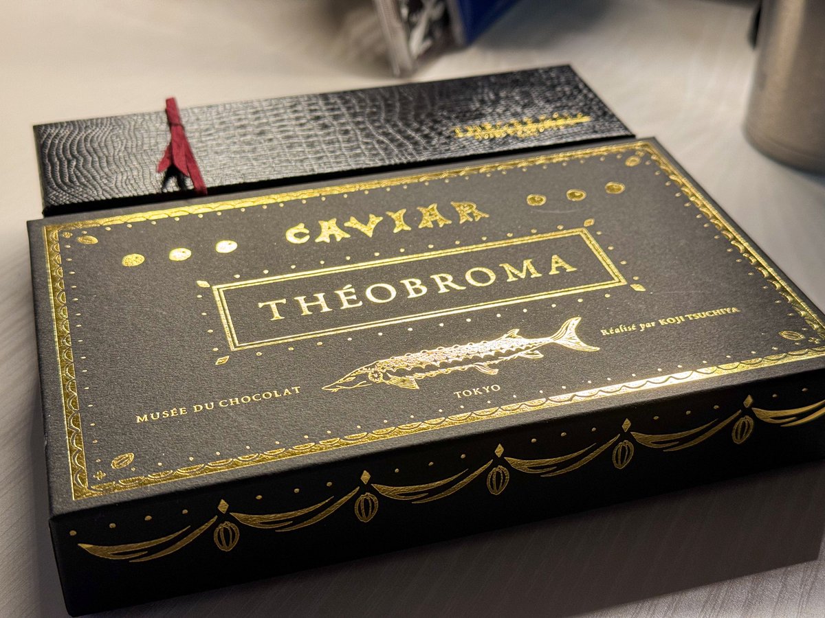 たまち / Tamachi tweet media