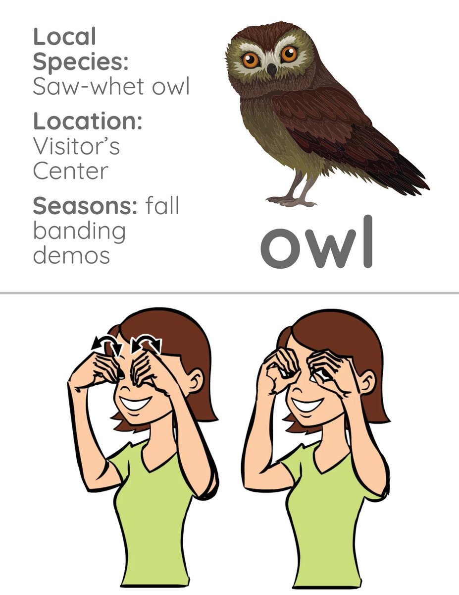 NPS Youth & Young Adult Programs tweet media