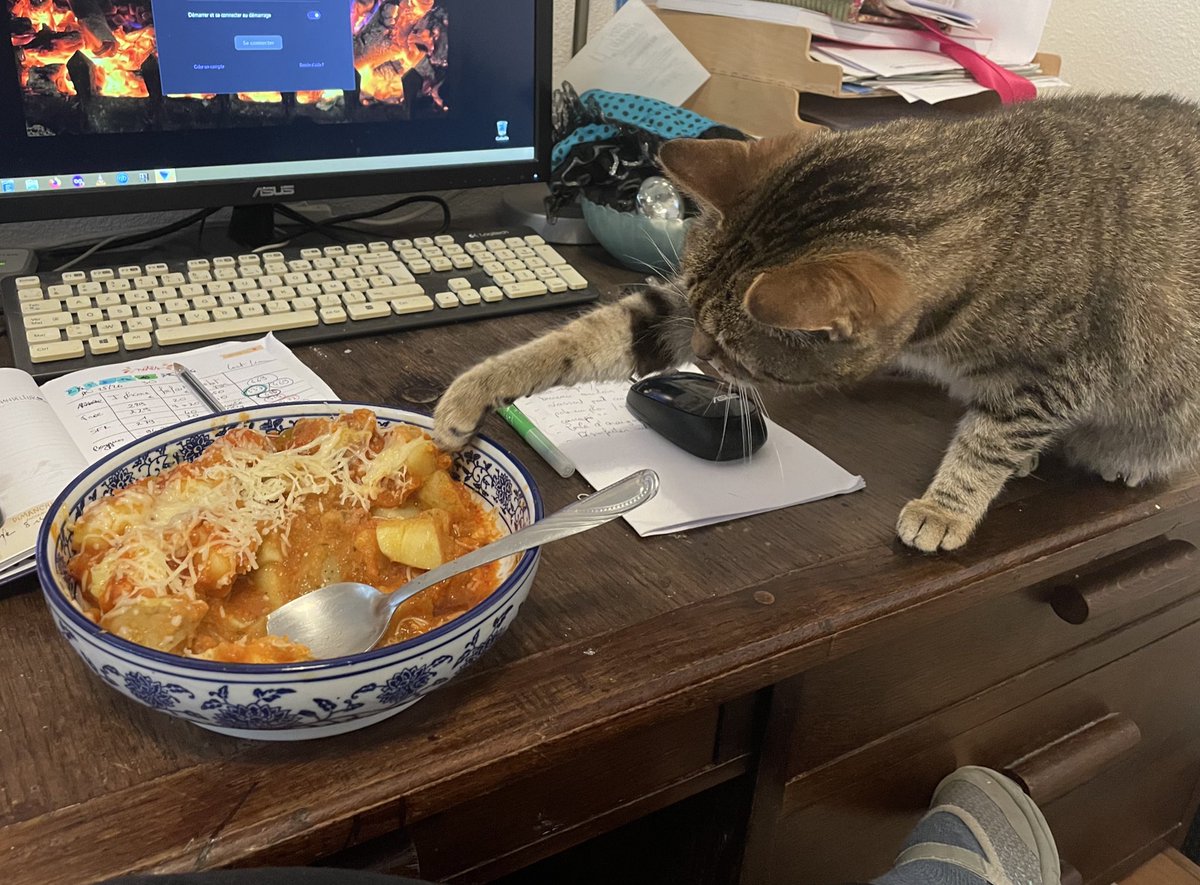 Lexis 🐈 🚺 et Sauronne 🐈‍⬛ 🚺 tweet media