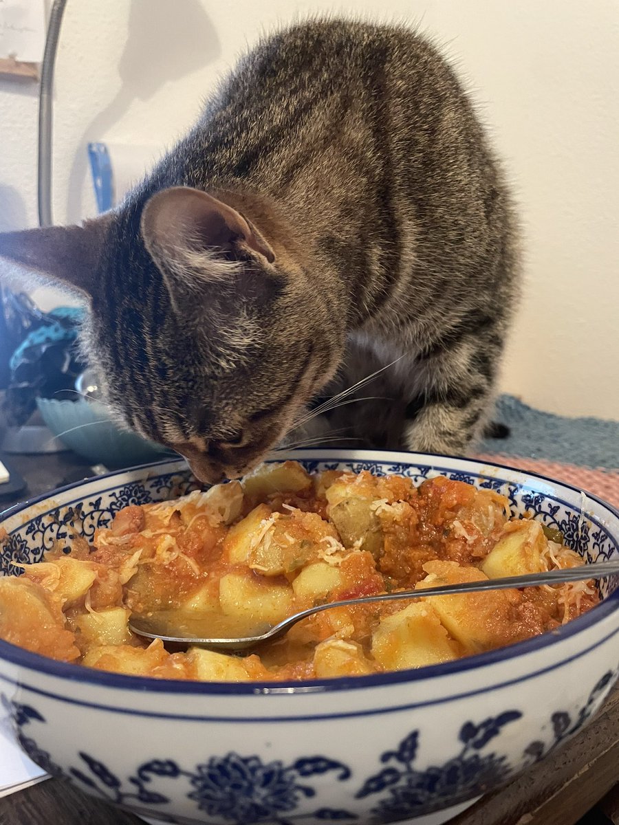 Lexis 🐈 🚺 et Sauronne 🐈‍⬛ 🚺 tweet media