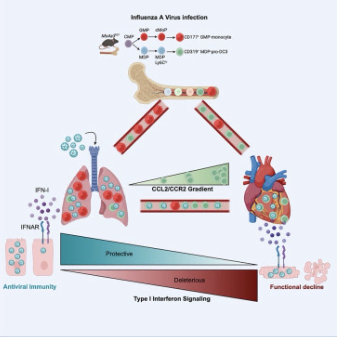 Ivan Zanoni tweet media