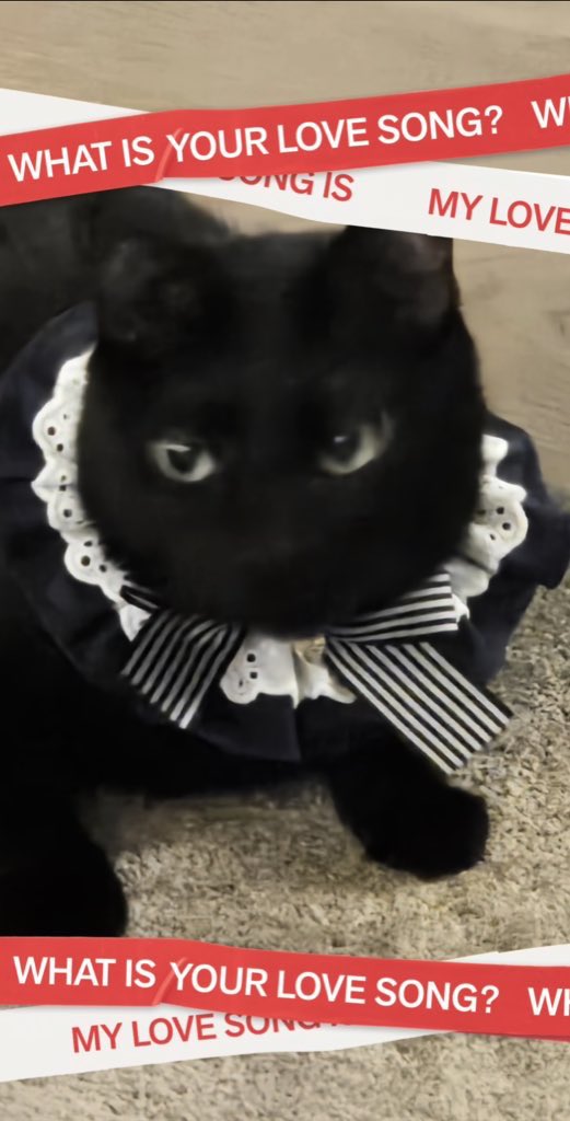 สิ่งที่เมนคนอื่นได้               สิ่งที่เมนยุนกิได้

เมนคนอื่นอวดตัวเอง ส่วนเมนกูอวดลูกรัก5555555555555