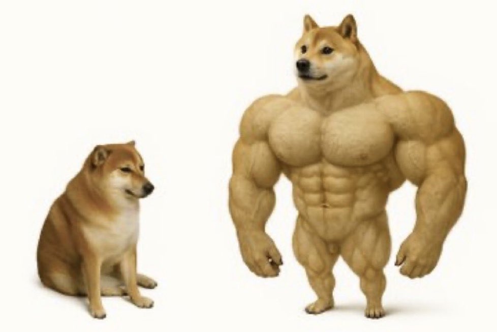 Rinku Singh last          Rinku Singh 
2 matches.                vsPakistan🦁

#INDvsPAK #T20WorldCup2026