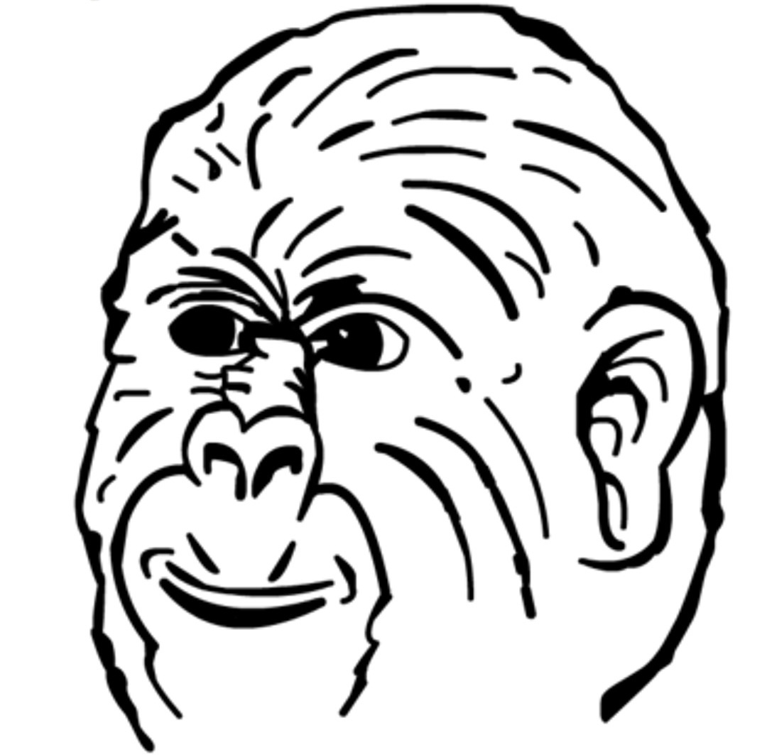 DexFreener Updates tweet media