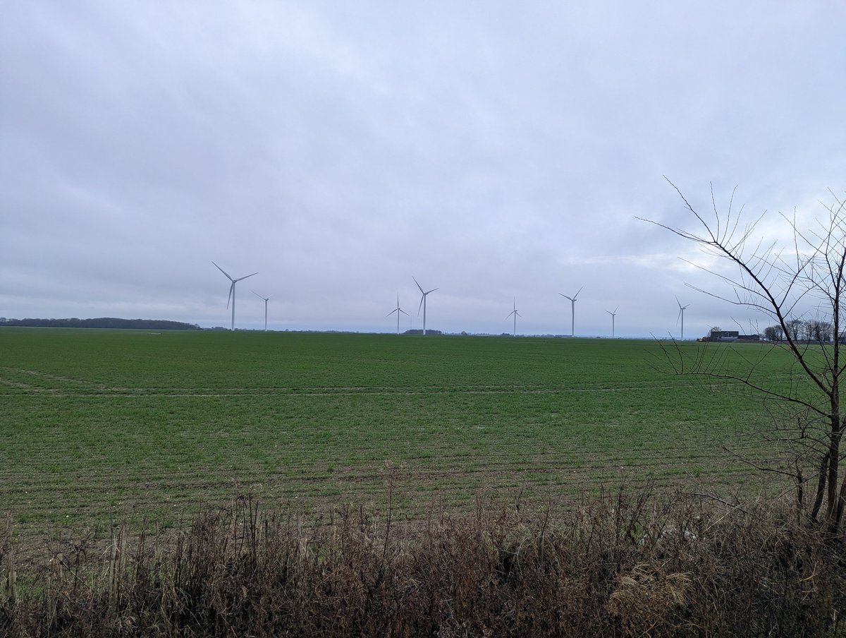 Keith Mandemant tweet media