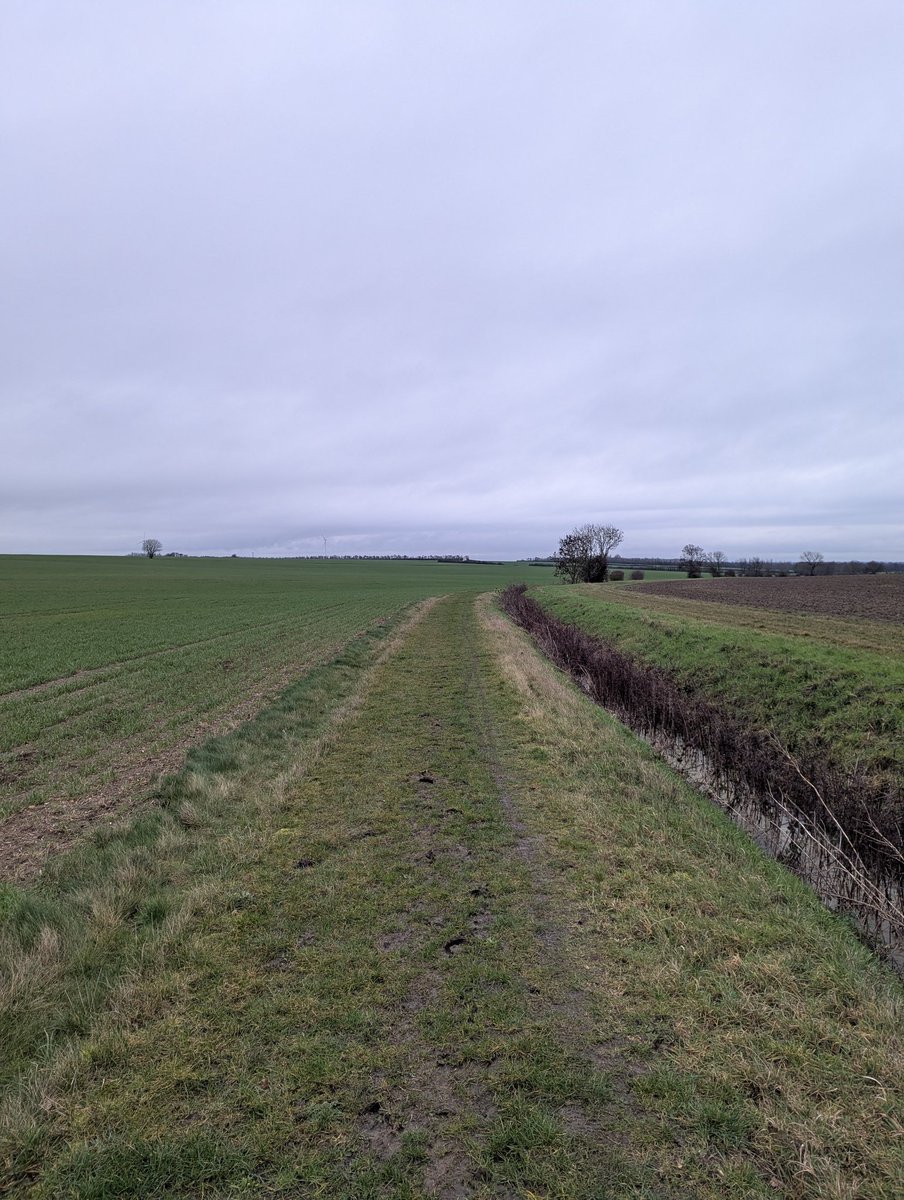 Keith Mandemant tweet media