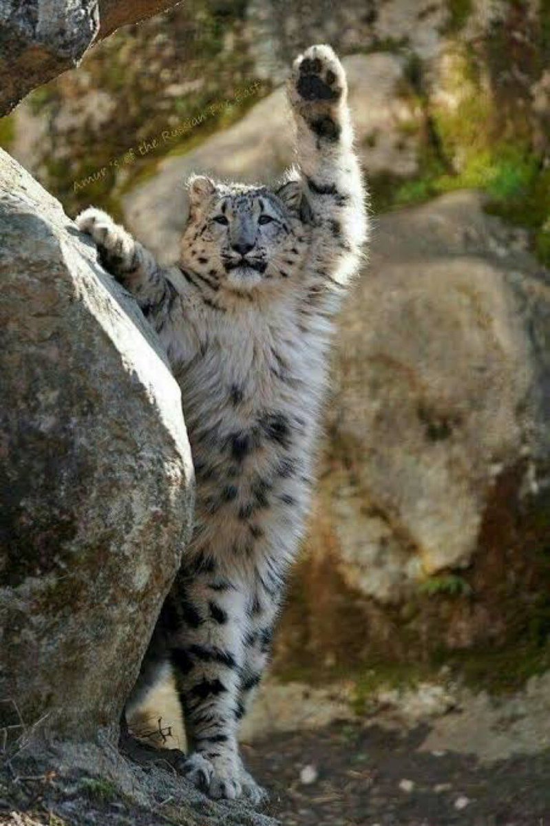 bigkittycity_'s tweet photo. what's up man !!!! https://t.co/1udTyFnYXH