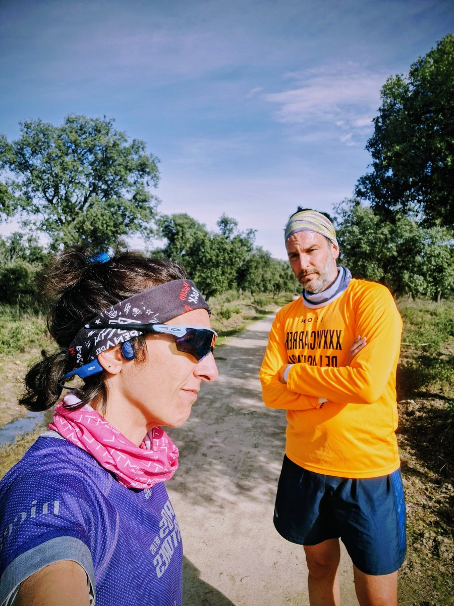 IreneTrail tweet media