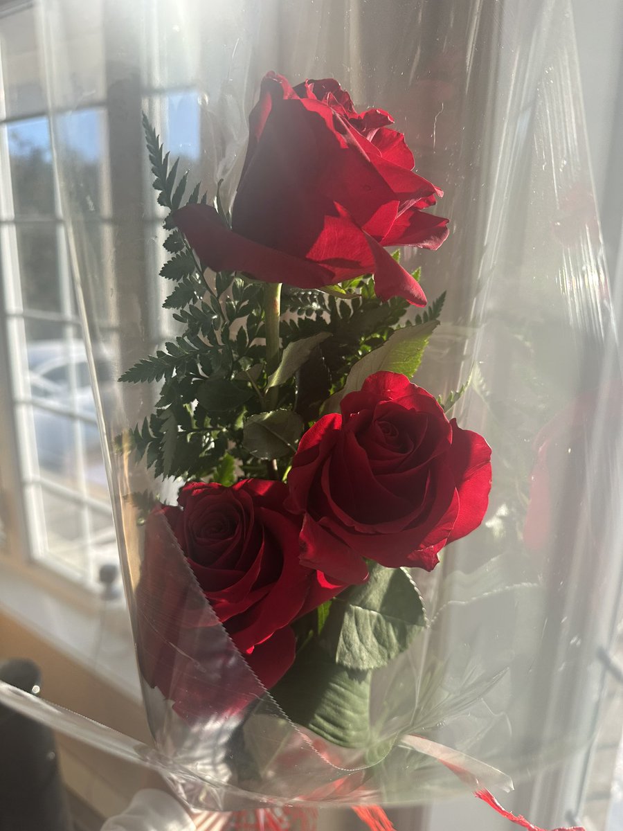 OfficialEDLR's tweet photo. I haven't been forgotten this valentine's day 
🌹😏 https://t.co/OfMumqGqj5
