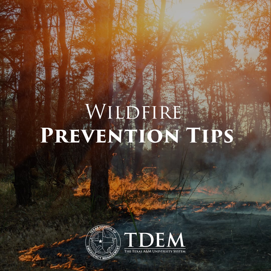 Texas Division of Emergency Management tweet media