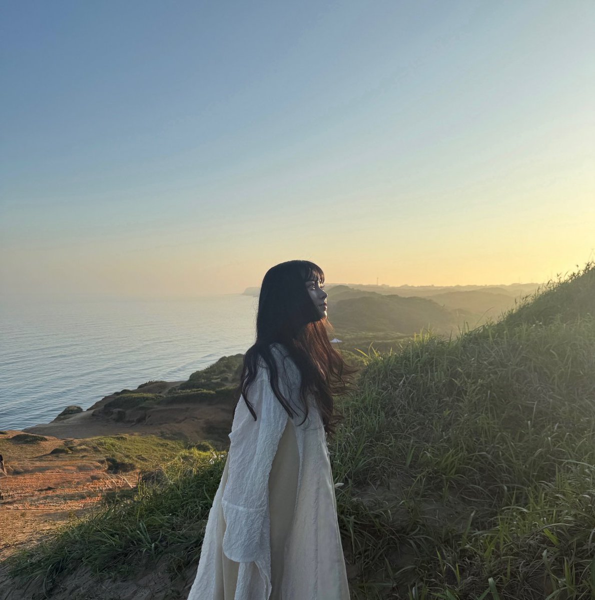 乃木坂46 tweet media