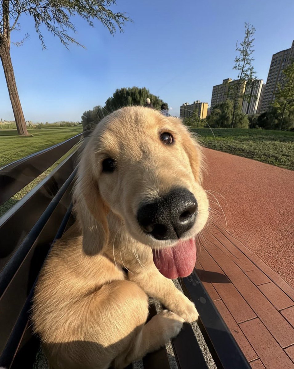 💖 (@twaniimals) on Twitter photo 