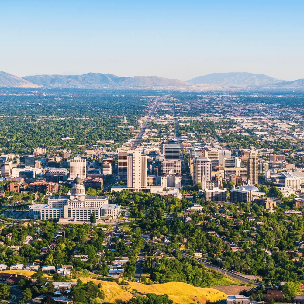 VIEZU Technologies | Paramount Performance tweet media