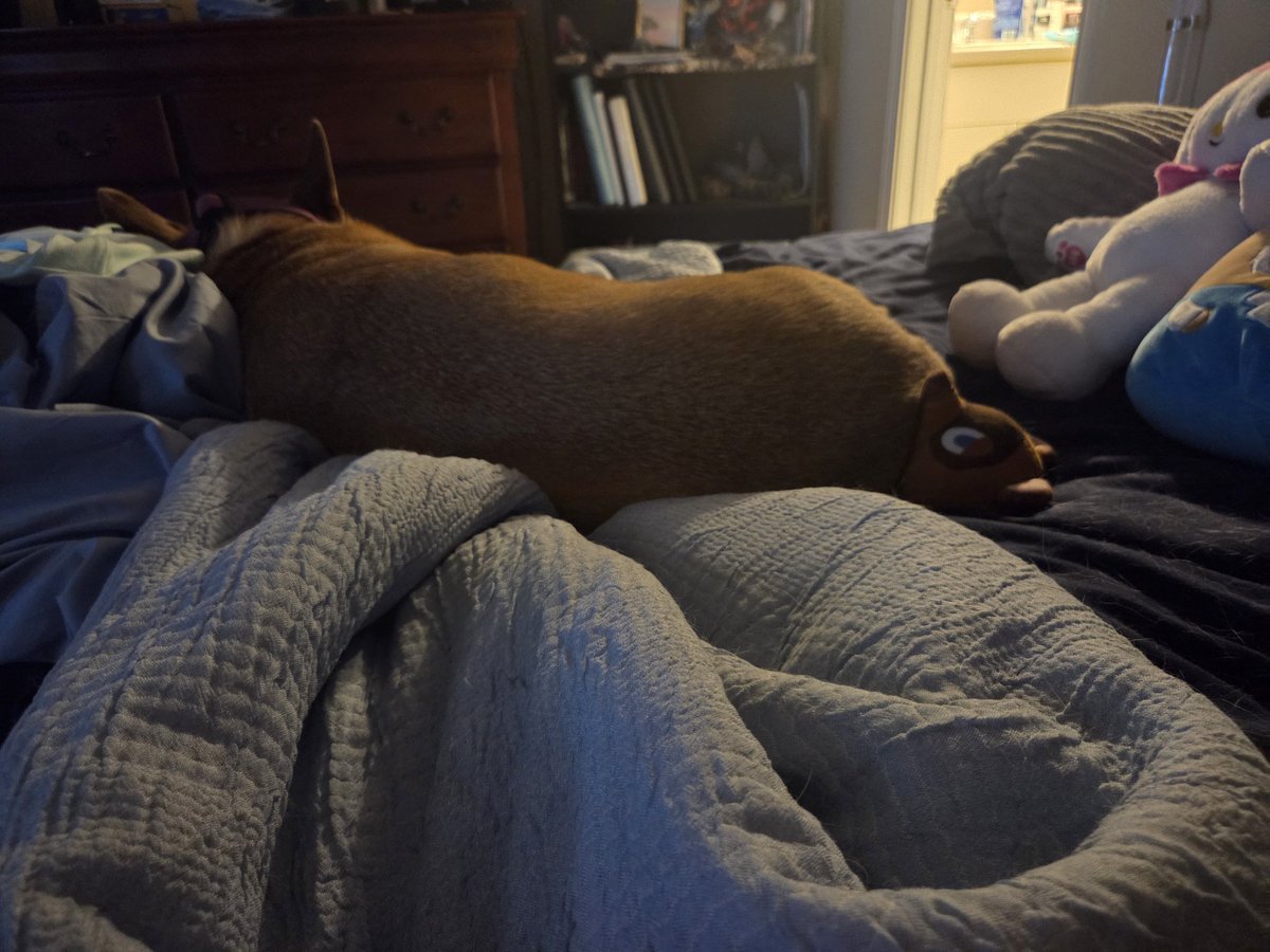 My dog doesnt like Tom Nook. Last week she tried to eat him. This week shes sitting on him. 

Wonder how many bells she owes him?