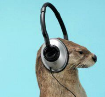 JuliFoxDrAw tweet media