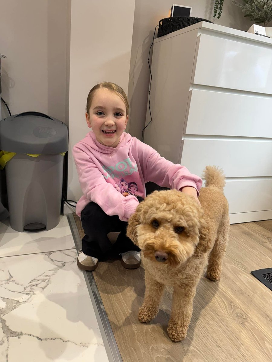 The Husky tweet media