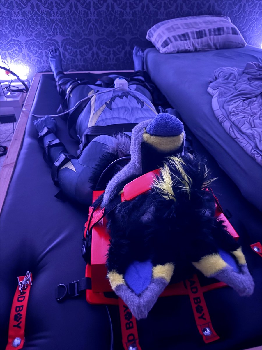 / Wolf / tweet media