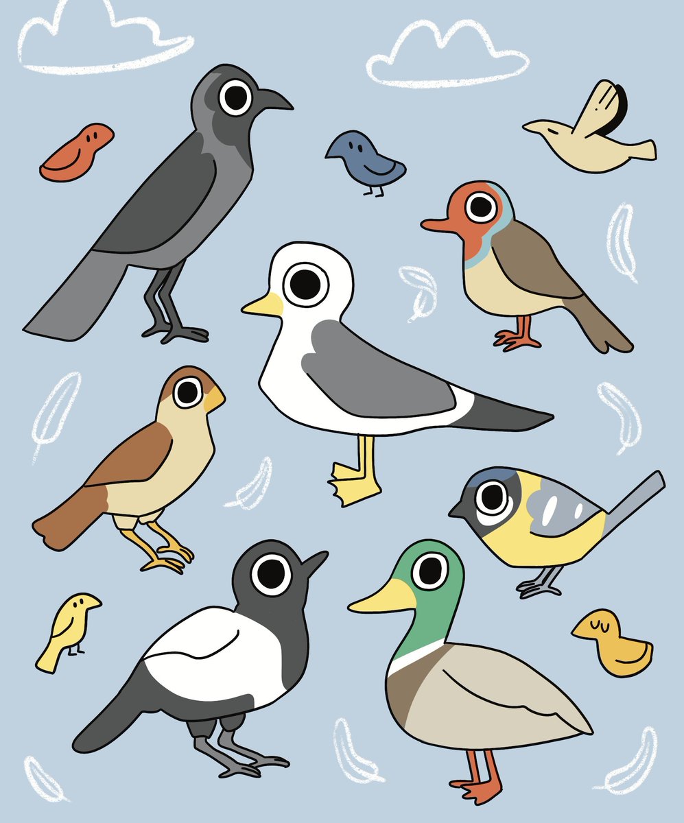 check out these birds i drew