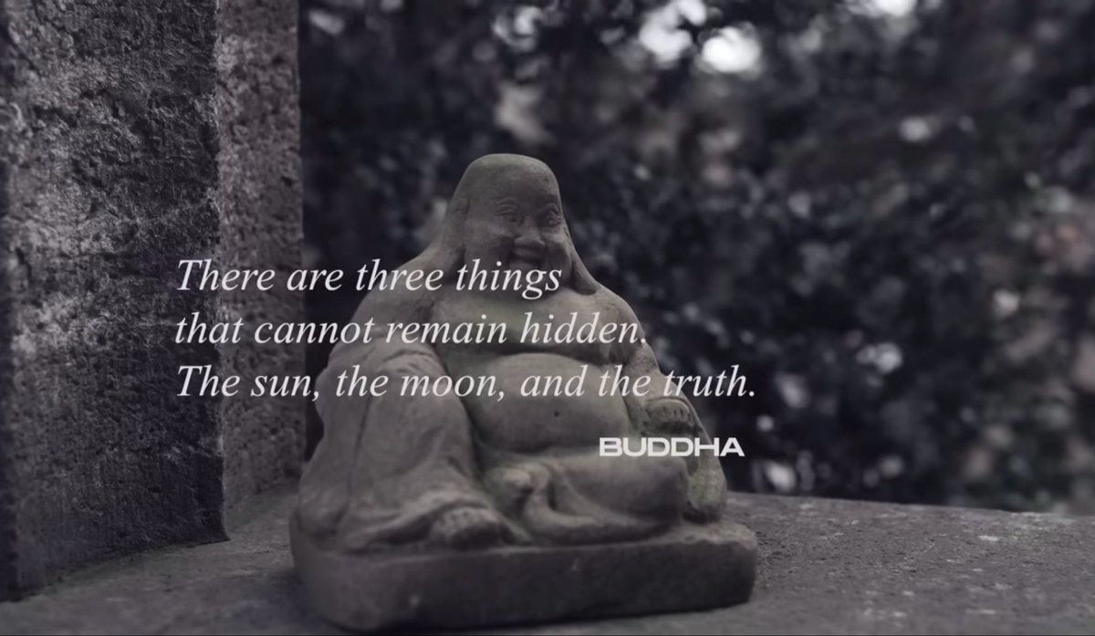 McCasalin🪄 (@mccasalin) on Twitter photo 