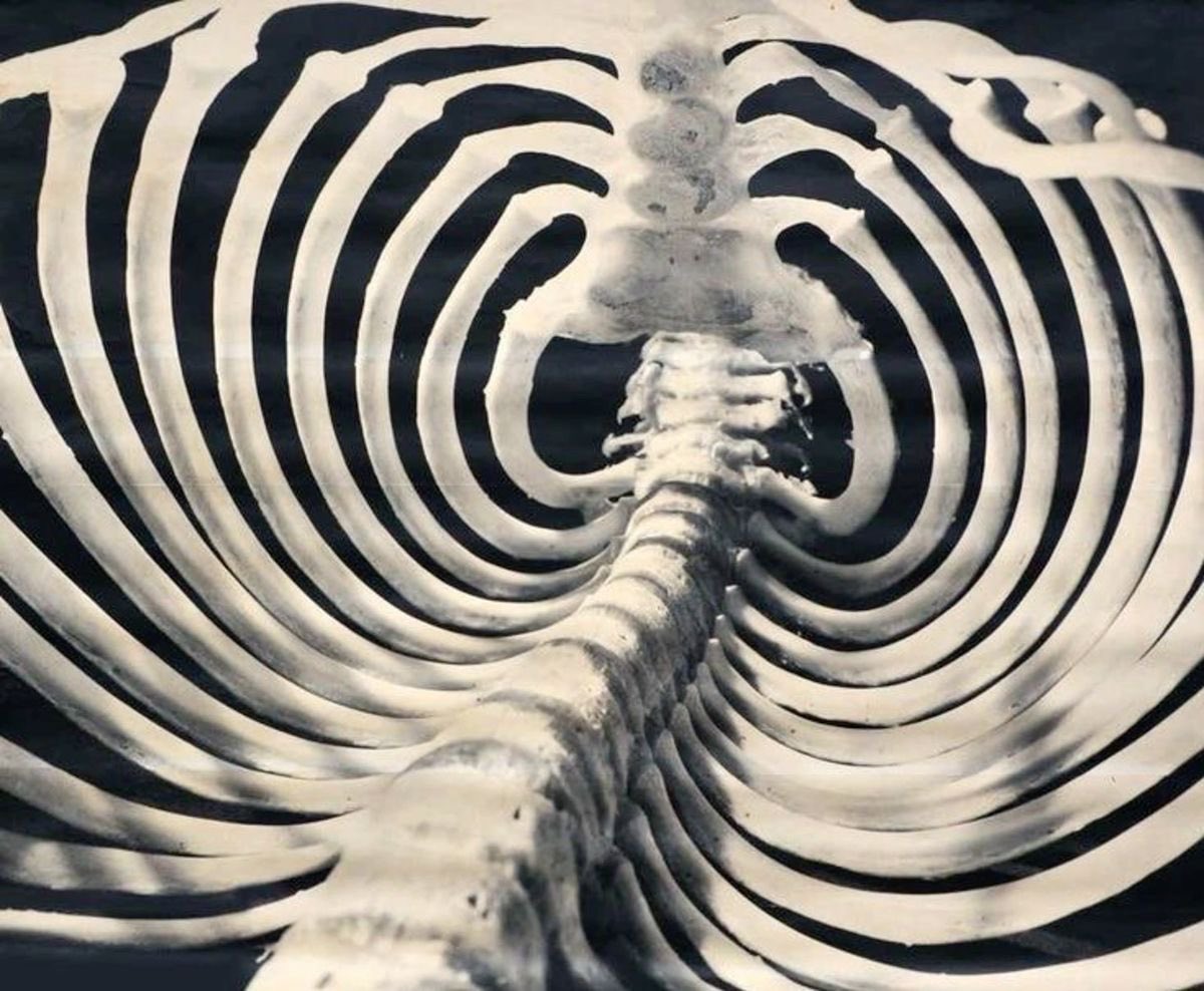 amalgamatomaton (@amalgamatomaton) on Twitter photo 