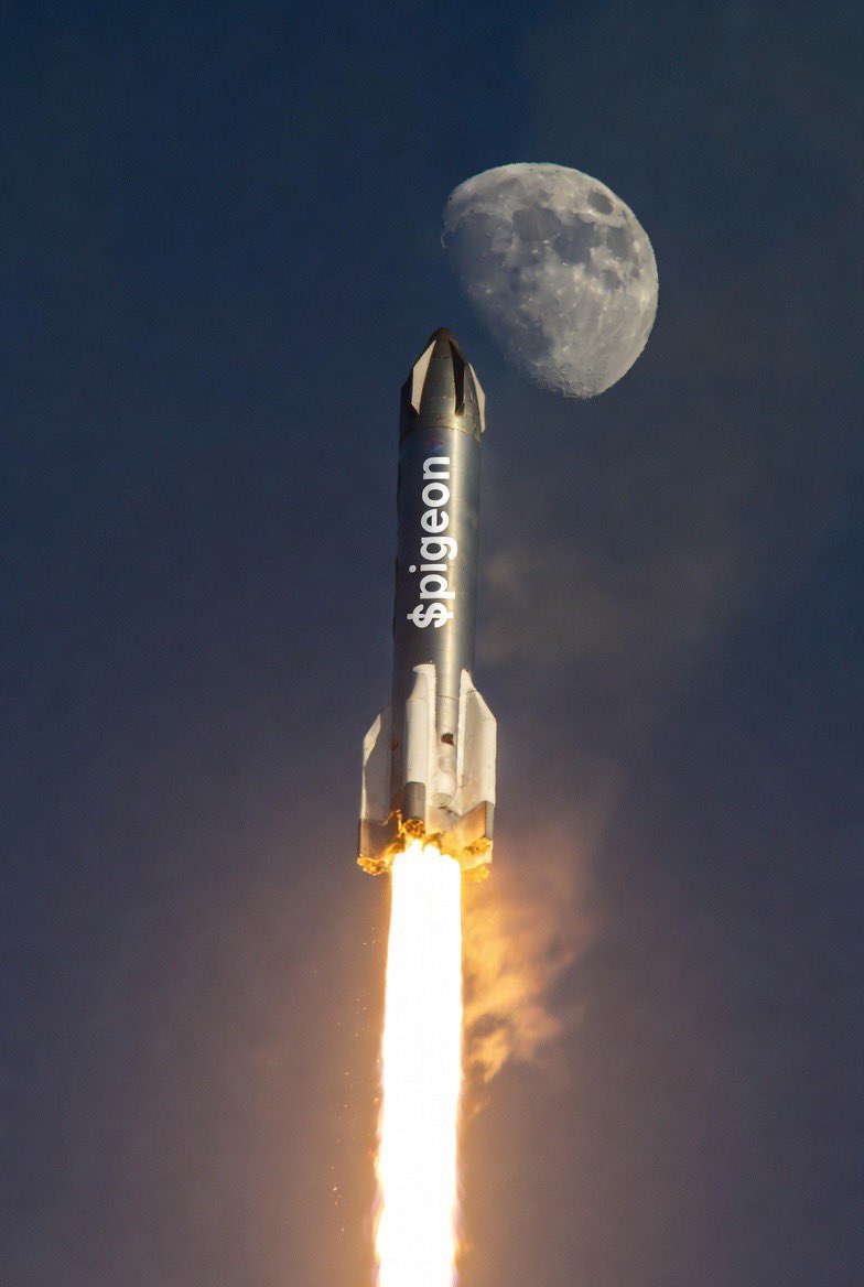 $pigeon will moon these are some pictures from the future🌝