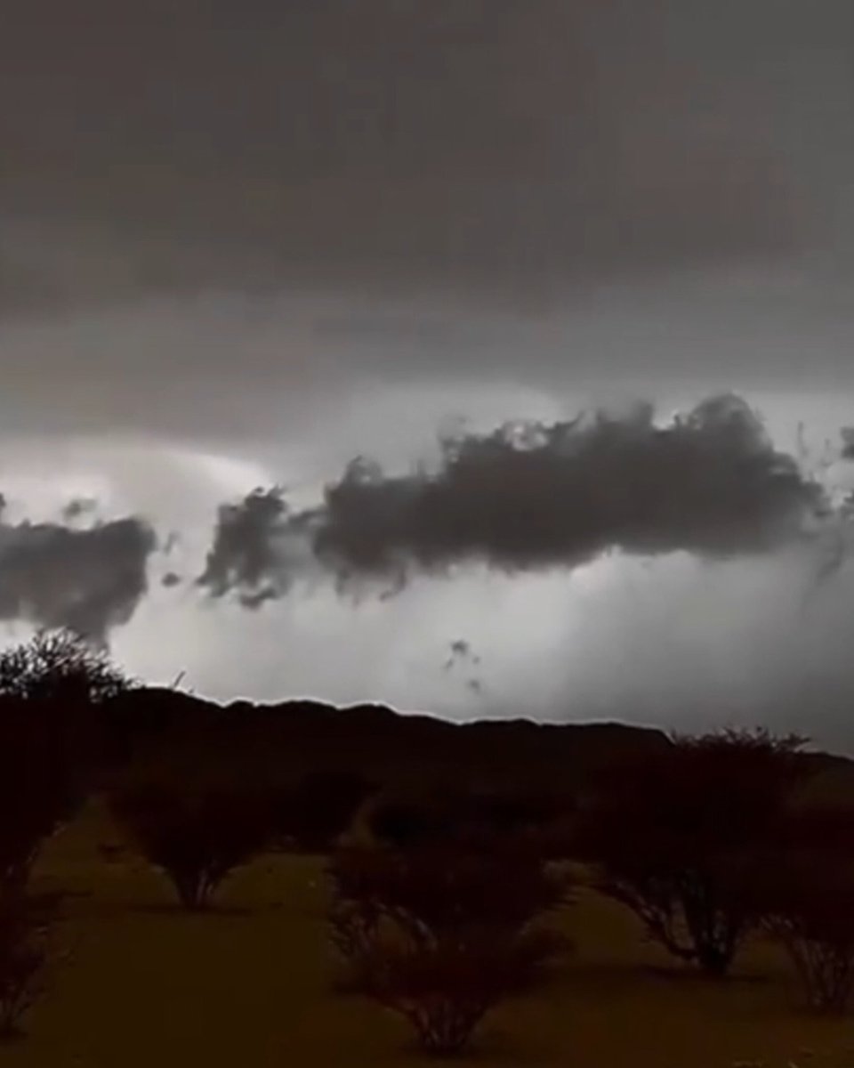 ♦️ بمناسبة قدوم شهر رمضان للرعديين 
 برديتين رمضانيه نسخه طبق الاصل في مكانين مختلفين وفي عامين متتاليين 
وحده نجديه ووحده شمال بيشه من تصويري ،، ركزو في الشكل وصوت الرعود لولا اختلاف التضاريس لقلتو نفسها وحده 
شاهدو الصور 
وكل وحده لها مقطع في تغريده