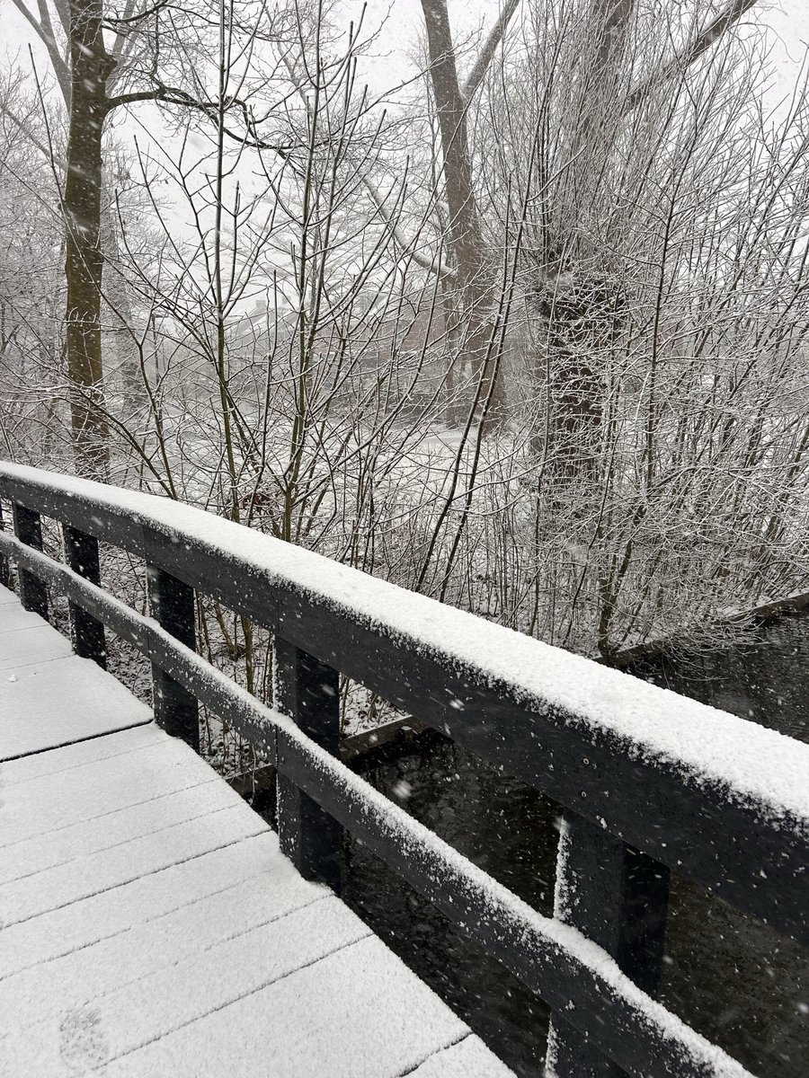 Heerlijke wandeling in de sneeuw gemaakt <a href="/beatrixpark010/">beatrixparkschiedam</a> 😊👍🏻🌨️❄️☃️