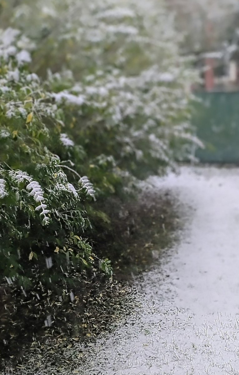 MrNesClick™ tweet media