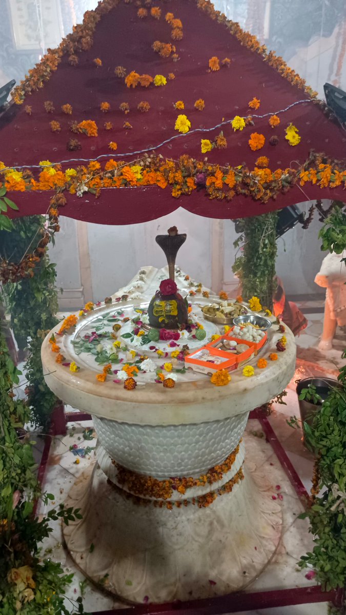 ओम नम: शिवाय,भगवान भोलेनाथ अपना आशीर्वाद हमेशा बनाए रखें #महाशिवरात्रि2026 #भोलेनाथकीकृपासभीकोप्राप्तरहे