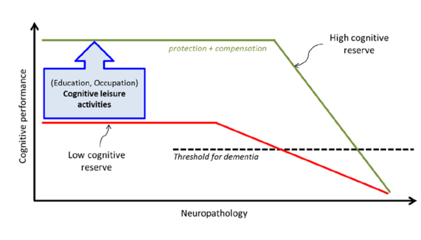 Use your brain or lose it

Individuals with higher cognitive reserve are seen to be less susceptible to age-related brain atrophy, cognitive decline, and dementia

You build cognitive reserve by consistently challenging your brain throughout life:

- pursuing education and