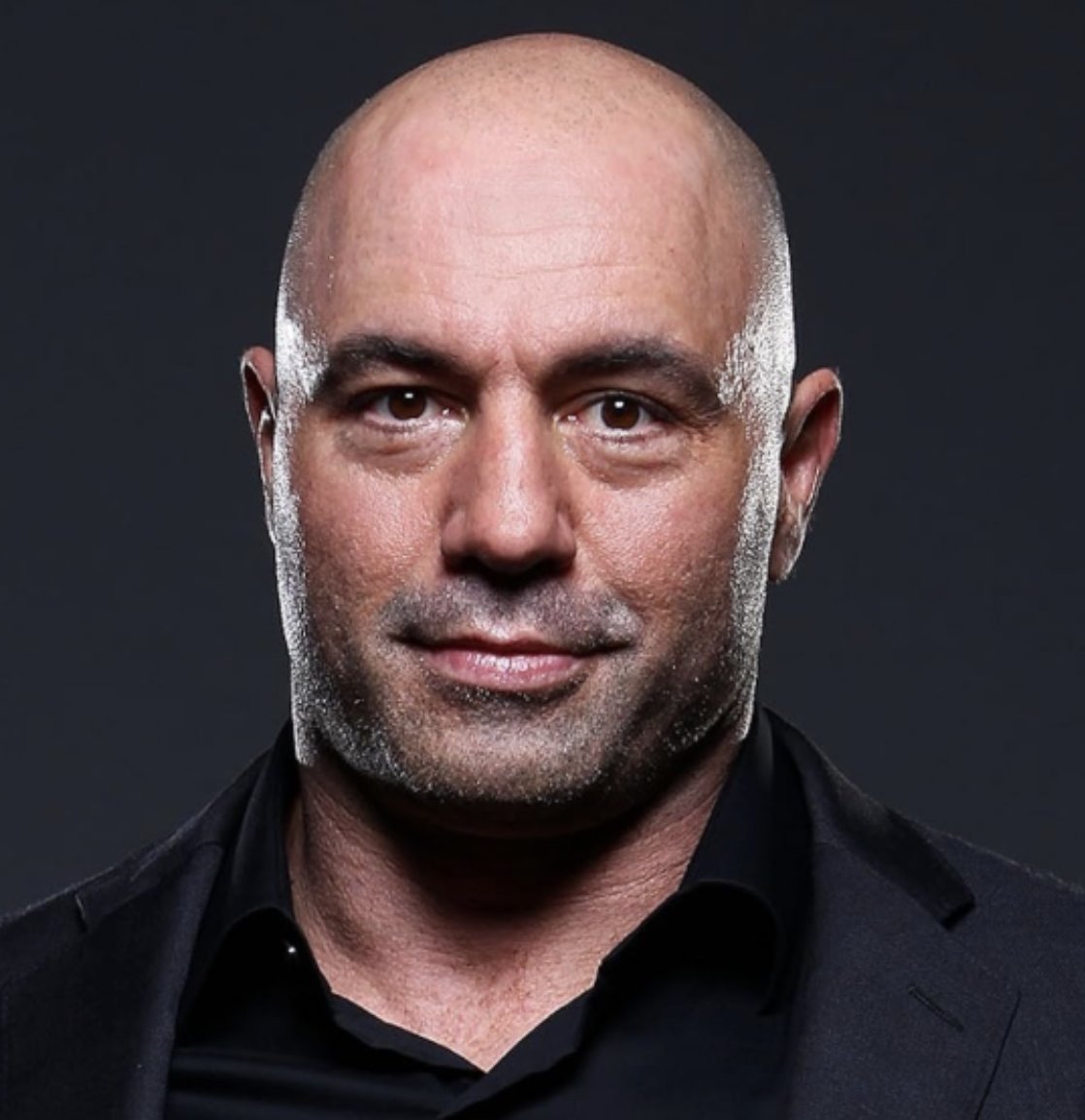 The Bitcoin Historian tweet media