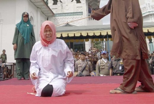 Iran Armed Forces News tweet media